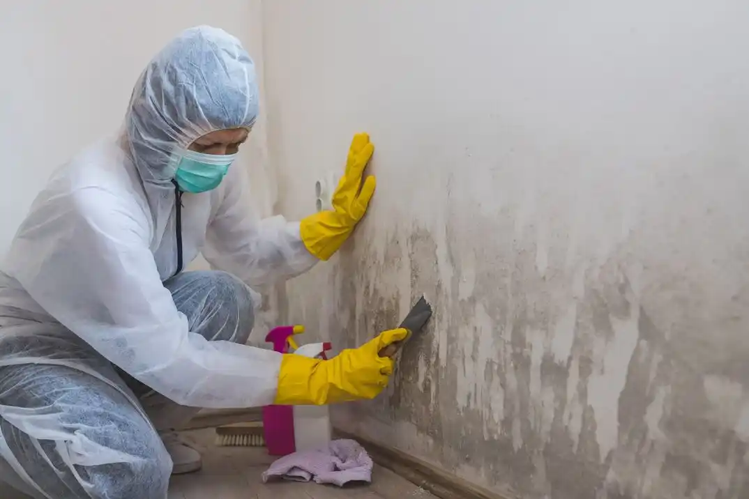 water damage restoration service Shaw